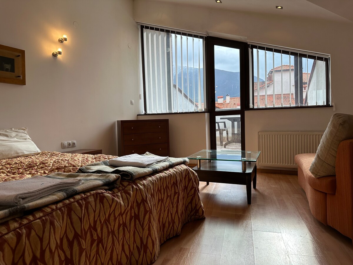 Bansko 2BR Penthouse