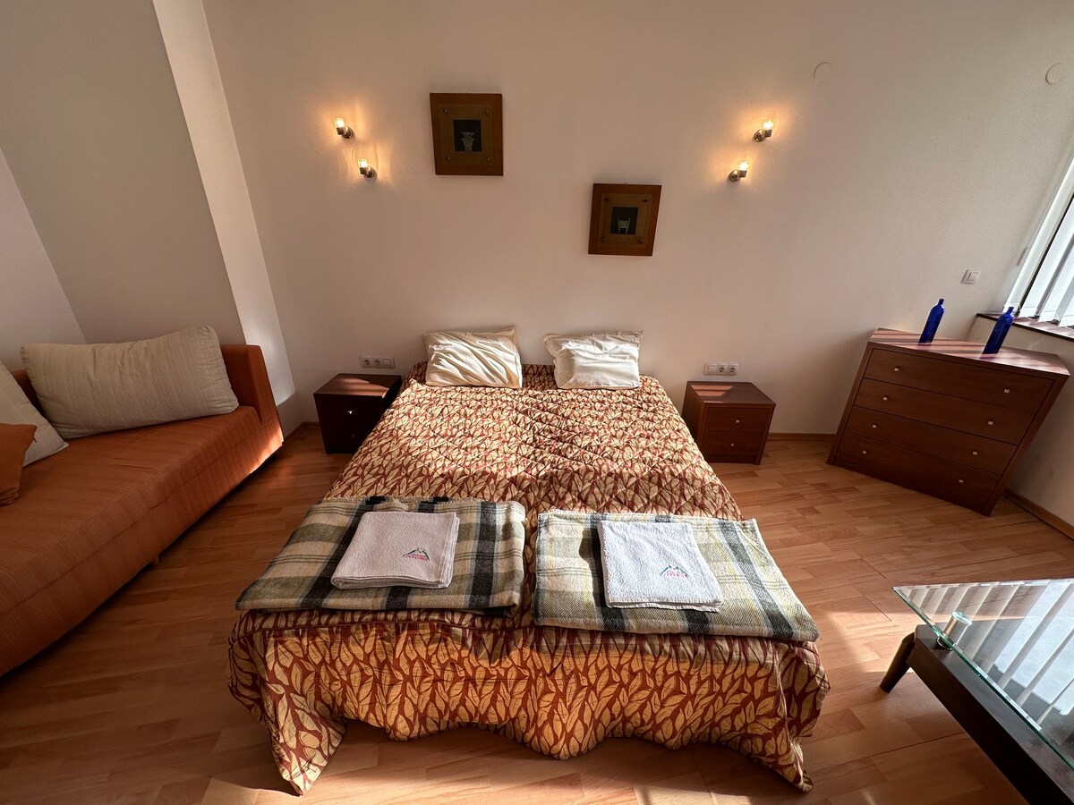 Bansko 2BR Penthouse