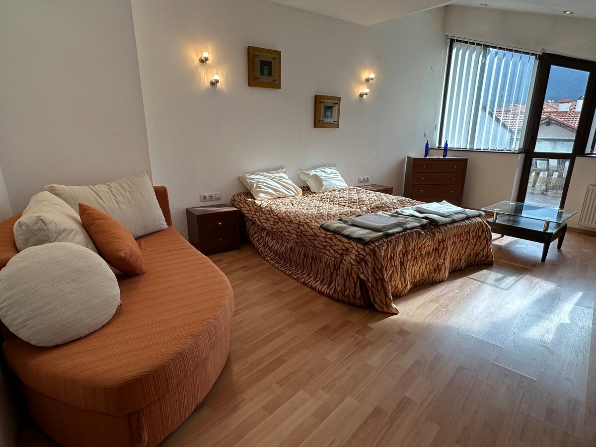 Bansko 2BR Penthouse